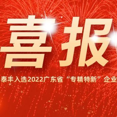 熱烈祝賀泰豐空調入選2022廣東省“專精特新”企業！